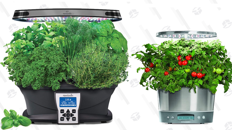Gold Box de Miracle-Gro AeroGarden | AmazonGráfico: Shep McAllister
